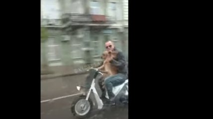 "Это же Стейтем": в сети смеются над поездкой собаки на мотоцикле в Одессе (видео)