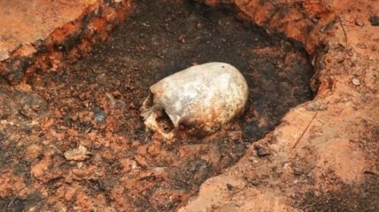 Археологи обнаружили скелет пирата на детской площадке