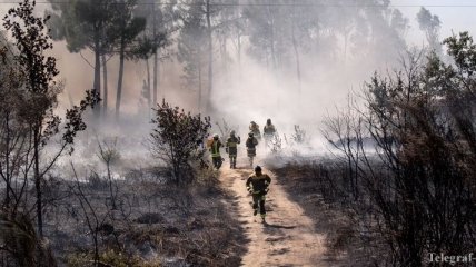 Лесные пожары дошли до Греции, Испании и Португалии