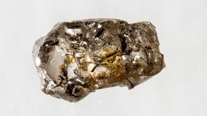 Ученые найшли грибок, питающийся металлами внутри минералов