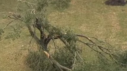 Последствия торнадо в Техасе сняли с воздуха (Видео)