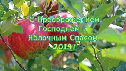 Яблочный Спас 2019: оригинальные поздравления и стихи в честь праздника 