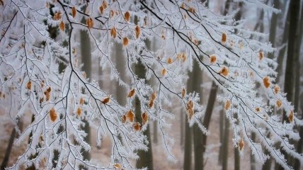 Какой праздник 18 декабря: народные приметы и запреты