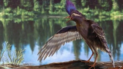 Ученые открыли для себя древнейшего предка птиц