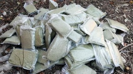 Житель Волновахского района накопил 20 кг марихуаны