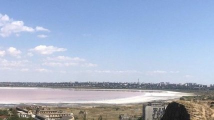 Знаменитый лиман вблизи Одессы стал розовым: экологи бьют тревогу