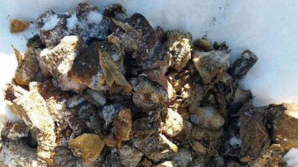 На Волыни у местного жителя нашли 8 кг тротила