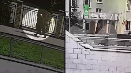 Стрелка никто не остановил: появилось видео, как Ильназ Галявиев заходил в гимназию
