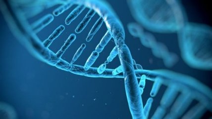 Ученые обнаружили ген, который определяет сексуальную ориентацию