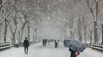 Всю Украину засыпало снегом: ситуация в регионах