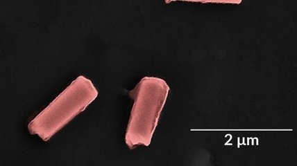 Исследователи создали нанороботов, способных очистить кровь от токсинов