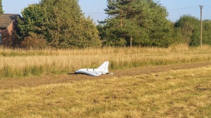 Российская Гербера в "Польше"