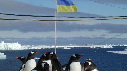 В Антарктиде на выборах президента-2019 проголосует 34 избирателя