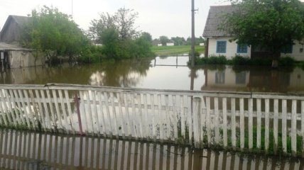 Последствия дождей в Житомирской области: затоплены дома и автодороги