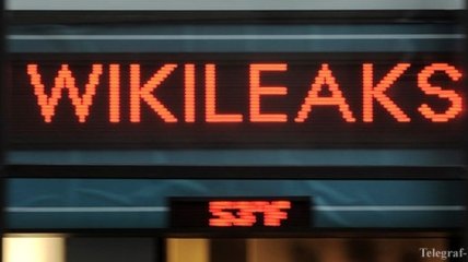 ФРГ проверит утечки WikiLeaks по хакерским возможностям ЦРУ