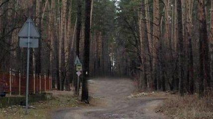 Под Киевом в лесу нашли мертвым 17-летнего парня