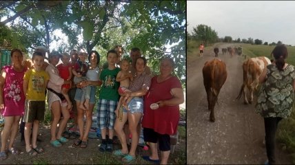 Семья Кириченко пытается спасти своих коров
