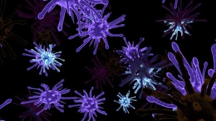 Они не только вызывают болезни: Вирусы могут вскоре ускорить работу компьютеров