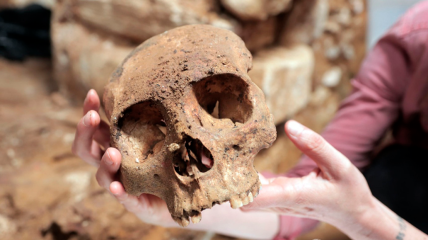 Один із черепів, знайдених у гробниці
