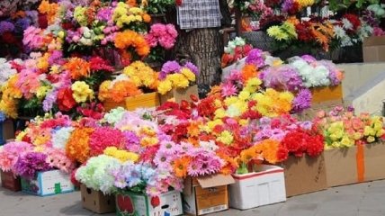 ПЦУ призывает не приносить пластиковые цветы на кладбище