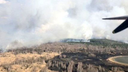 У Чорнобильській зоні вже тиждень не можуть погасити пожежу