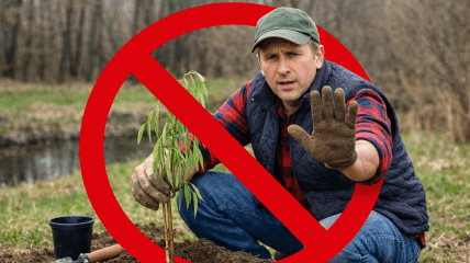 Чоловік саджає дерево