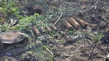 На Львовщине обнаружили схрон с боеприпасами