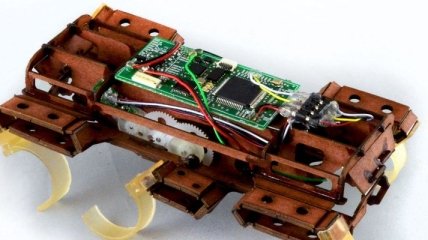 В США создали супербыстрого робота-таракана