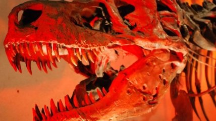 Динозавры видели мир в оттенках красного
