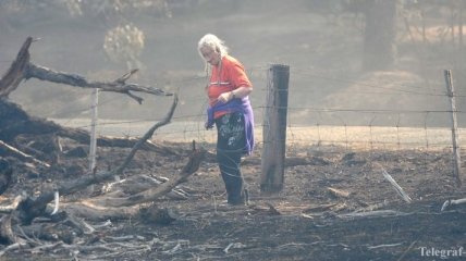 Пожары на юге Австралии уничтожили 11 тыс. гектаров леса