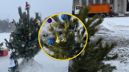 Чернігівці самостійно створюють святковий настрій. Фото Час Чернігівський