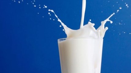 Особенности коровьего молока