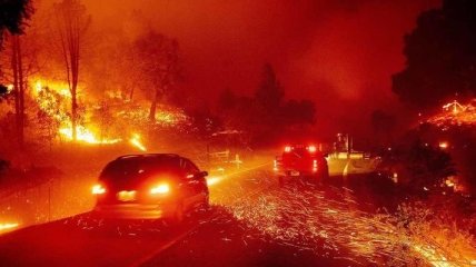 Пожары в США: огненная стихия приближается к реликтовым лесам с тысячелетними деревьями