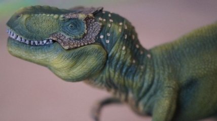 Природный "кондиционер": для чего тираннозавру нужны были отверстия в голове