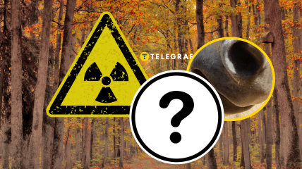 Осенний лес, значок радиации