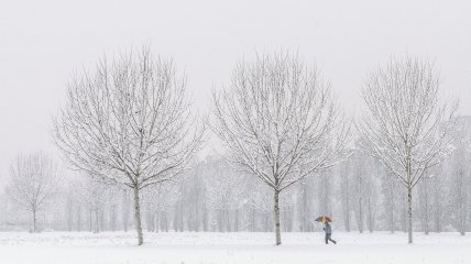 В Україні очікується потепління