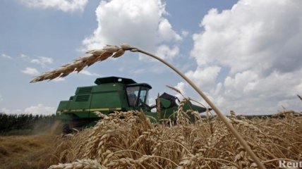 Мировые цены на зерновые значительно упали