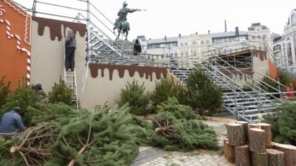 В Киеве на Отрадном пресекли незаконную продажу елок