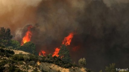 Масштабные пожары в Греции: количество жертв увеличилось до сотни