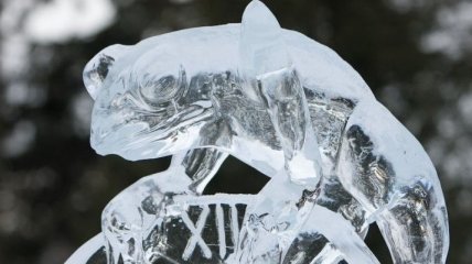 В зоопарке Хельсинки начался конкурс ледяных фигур