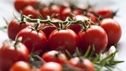 "Волшебные" помидоры: полезные свойства овоща