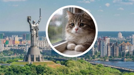 Погода в Киеве