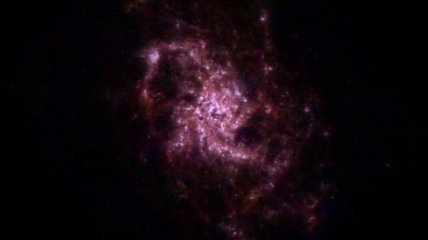 Колыбели будущих звезд видны на снимке соседней галактики