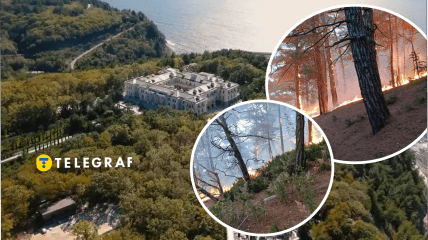 Пожежа біля палацу Путіна