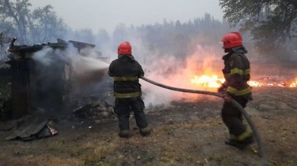 Провели сутки в огненном аду: сеть впечатлили фото спасателей, борющихся с огнем на Луганщине