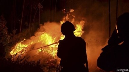 Есть подозреваемый в поджоге херсонских лесов