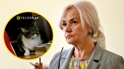 Кошка Ирины Фарион практически не покидала квартиру всю свою жизнь