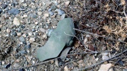 Возле Сартаны обнаружена противопехотная мина и 3 ящика гранат