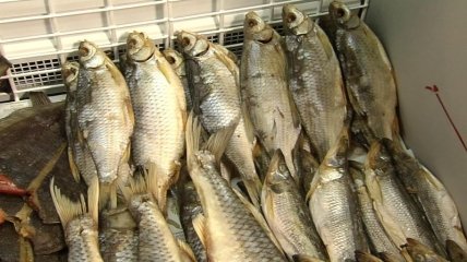 В Харьковской области идет борьба с ботулизмом: изъяли около 300 кг рыбы