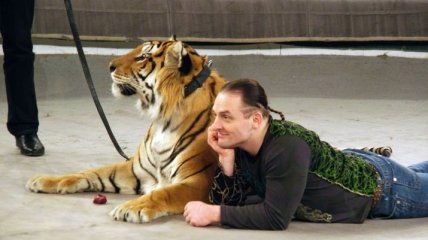 Дрессировщик Аскольд Запашный пострадал из-за нападения тигра. Видео